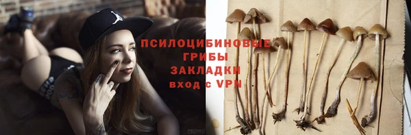 спайс Алзамай