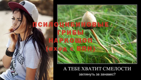 спайс Алзамай