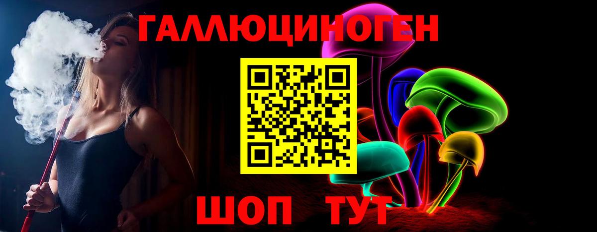 Осинники  Псилоцибиновые грибы мицелий  Вход с VPN  Псилоцибиновые грибы мухоморы 
